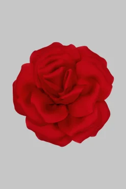 Maison Close LA LIAISONFleur